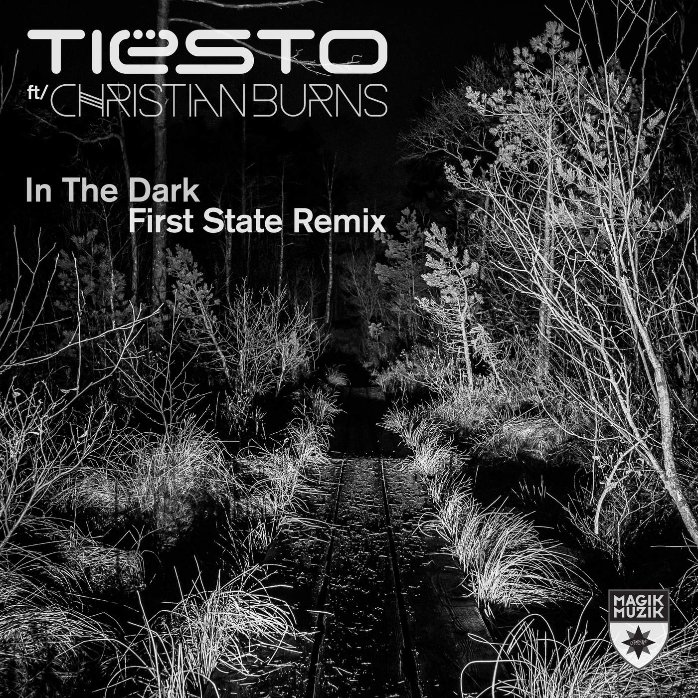 [Tiësto] In the Dark (feat. Christian Burns) [First State Remix] - Single