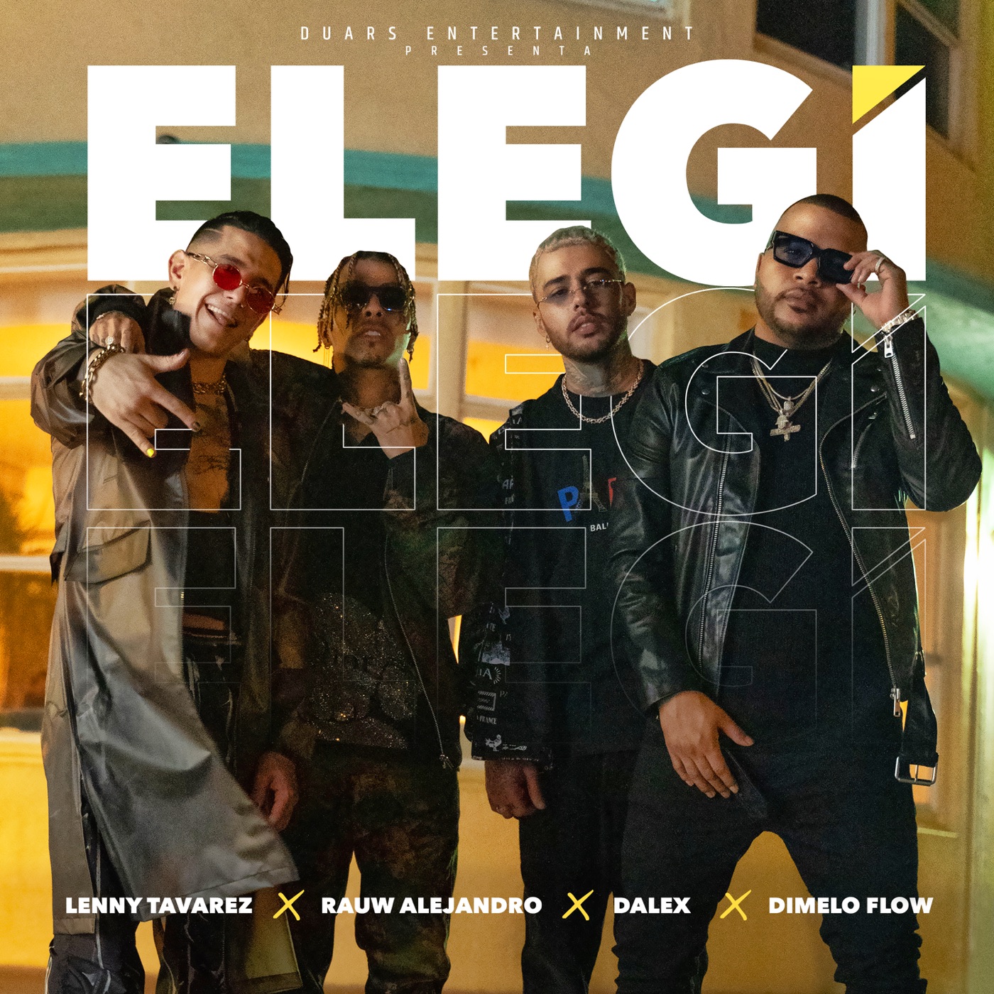 [Rauw Alejandro] Eleg&iacute; (feat. D&iacute;melo Flow) - Single