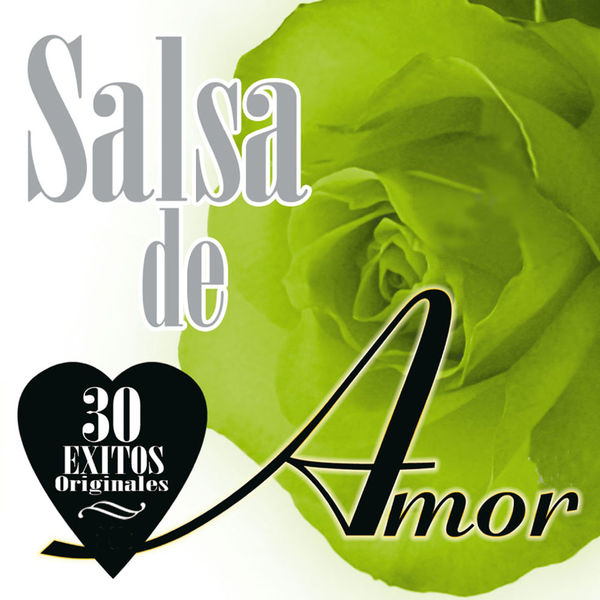 [Various Artists] Salsa de Amor: 30 &Eacute;xitos Originales