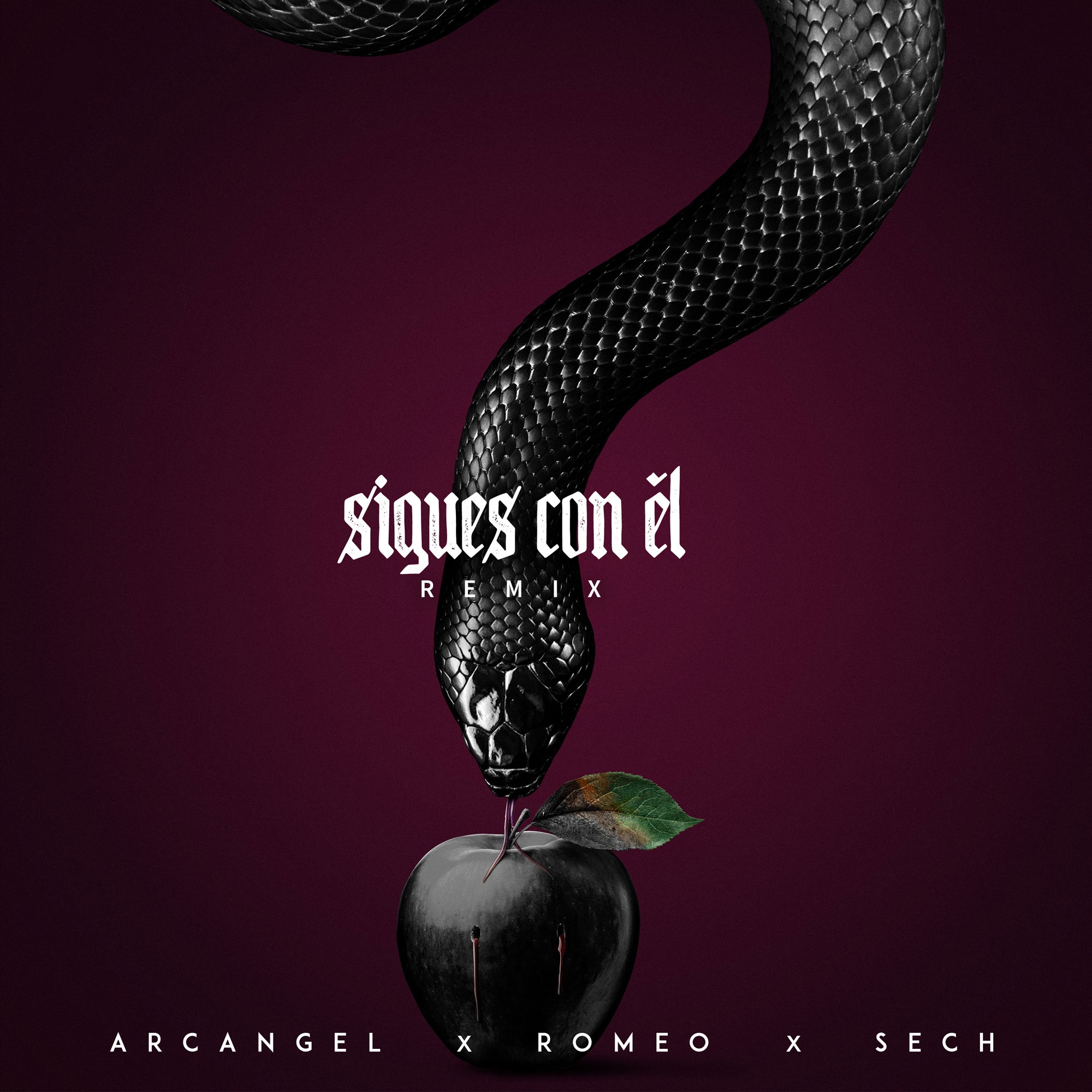 [Sech] Sigues con &eacute;l (remix)