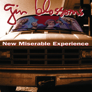[Gin Blossoms] New Miserable Experience