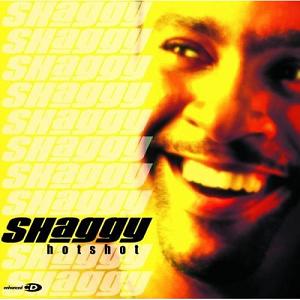 [Shaggy] Hotshot