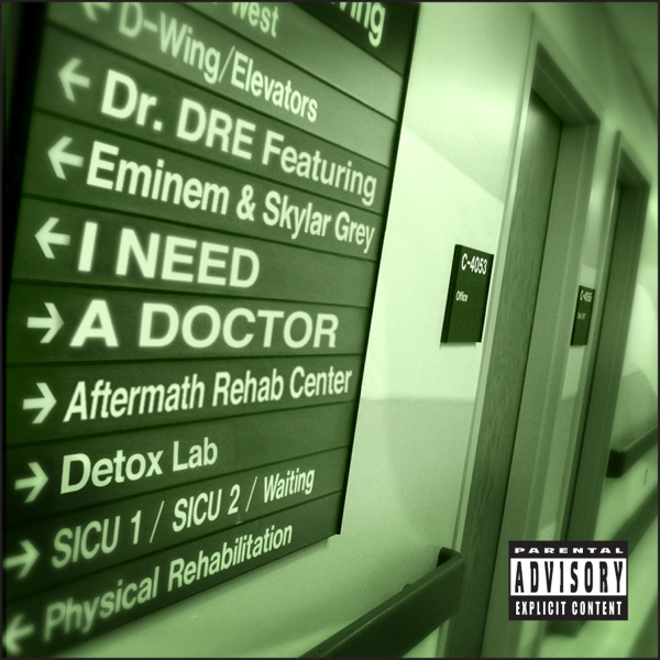 [Skylar Grey] I Need a Doctor