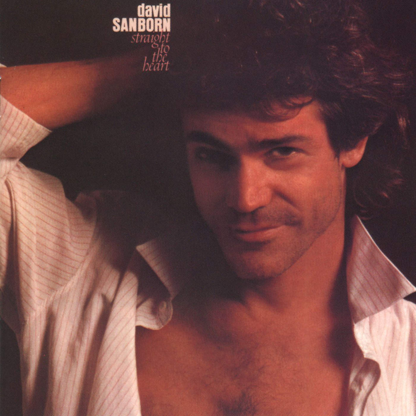 [David Sanborn] Straight to the Heart