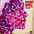 [Bruno Mars] Just the Way You Are